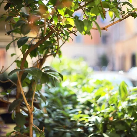 B&B Mellini 39 Roma
